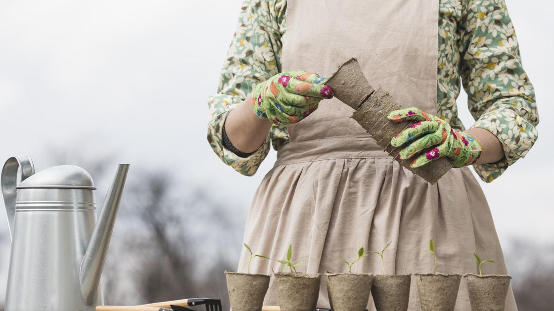 Женщина в цветных резиновых перчатках расставляет торфяные горшочки и пикирует рассаду перца. Рядом с горшочками с перцем стоит металлическая поливайка