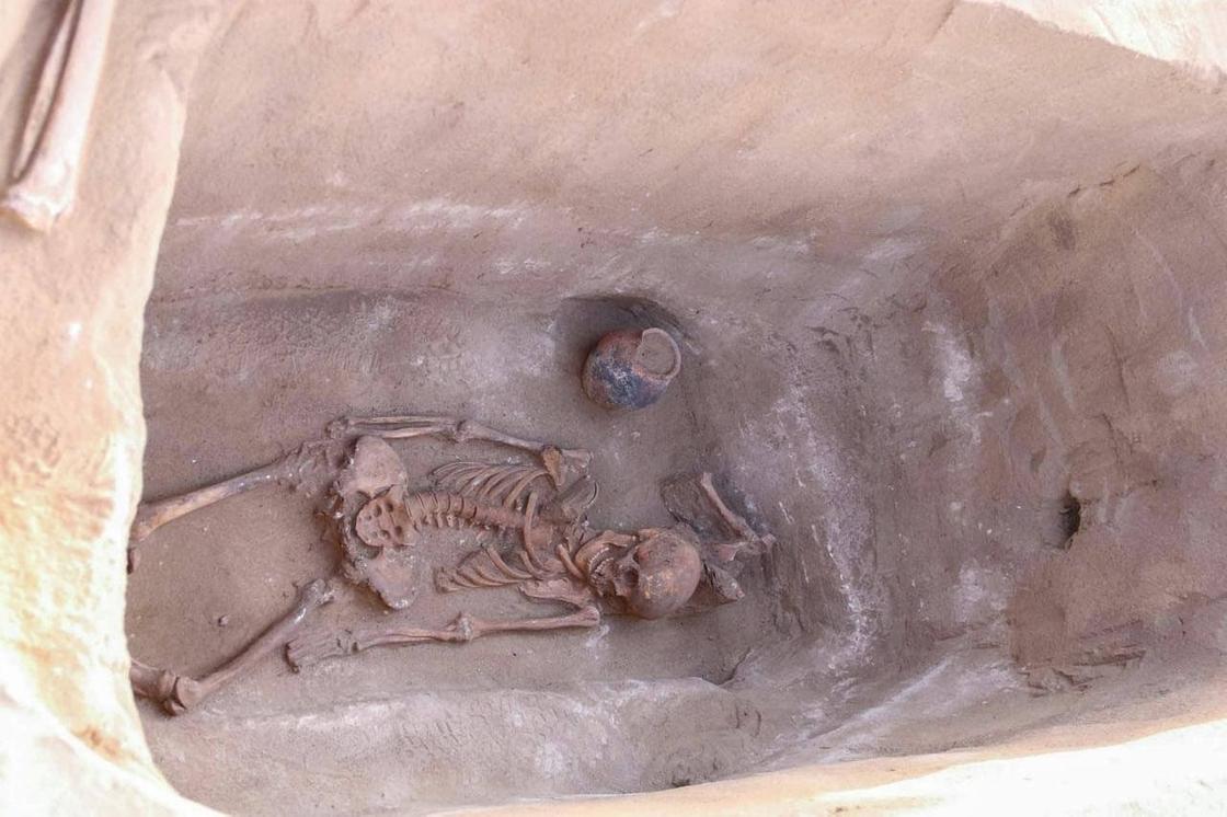 Обнаруженные останки в кургане
