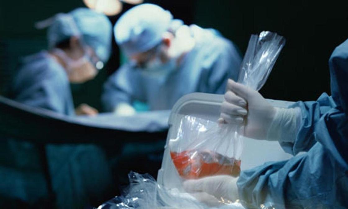 «Между собой называли «мясом»: ОПГ занималась незаконной пересадкой органов в Казахстане