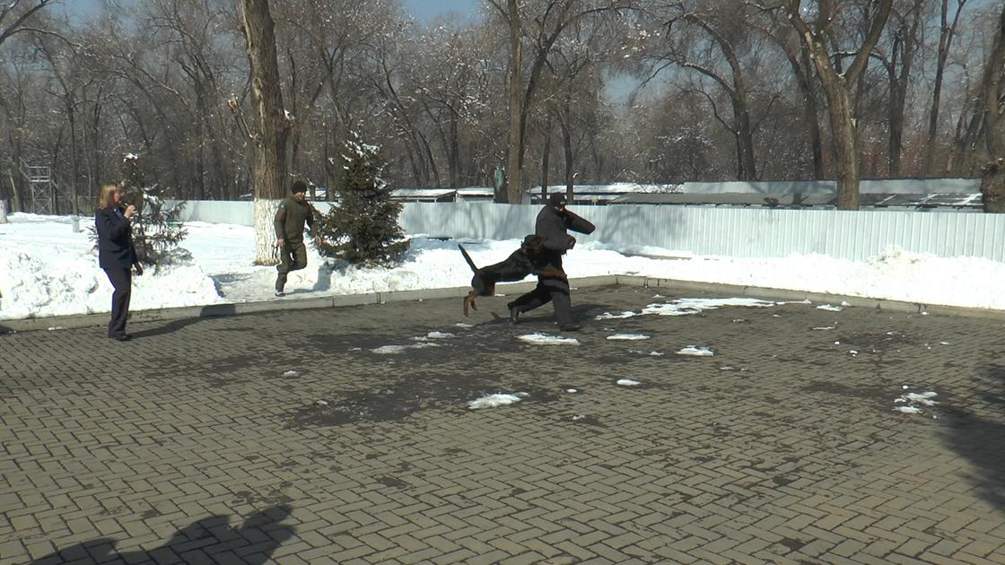 Полицейские-кинологи Алматы провели увлекательную встречу с особенными детьми