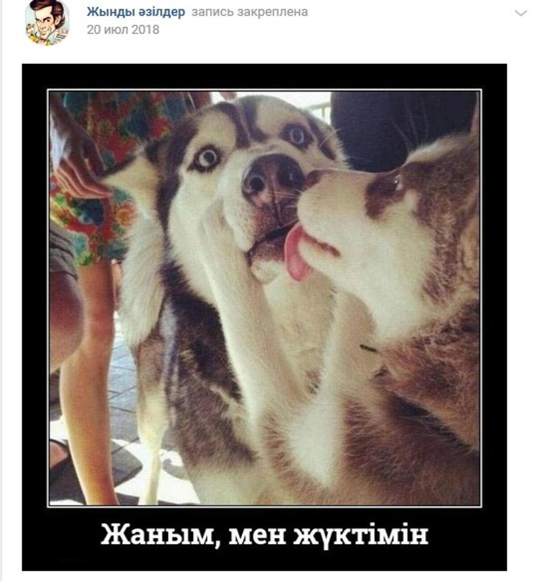 Фото: Вконтакте