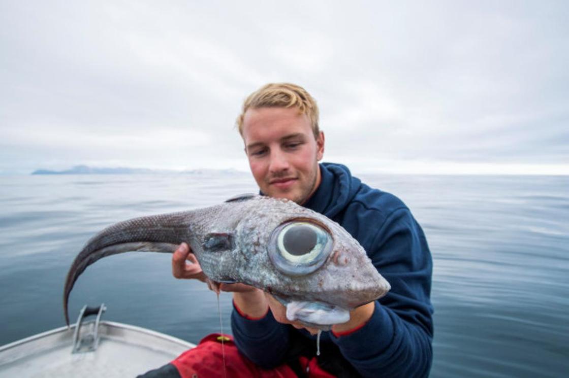 Морского монстра с глазами на полтуловища выловил рыбак из Норвегии (фото)