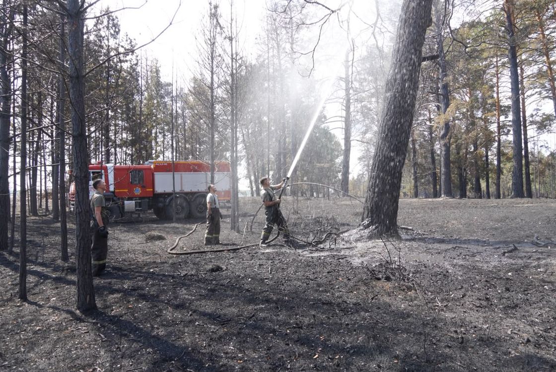 Орман өртін сөндіріп жүрген өрт сөндіруші