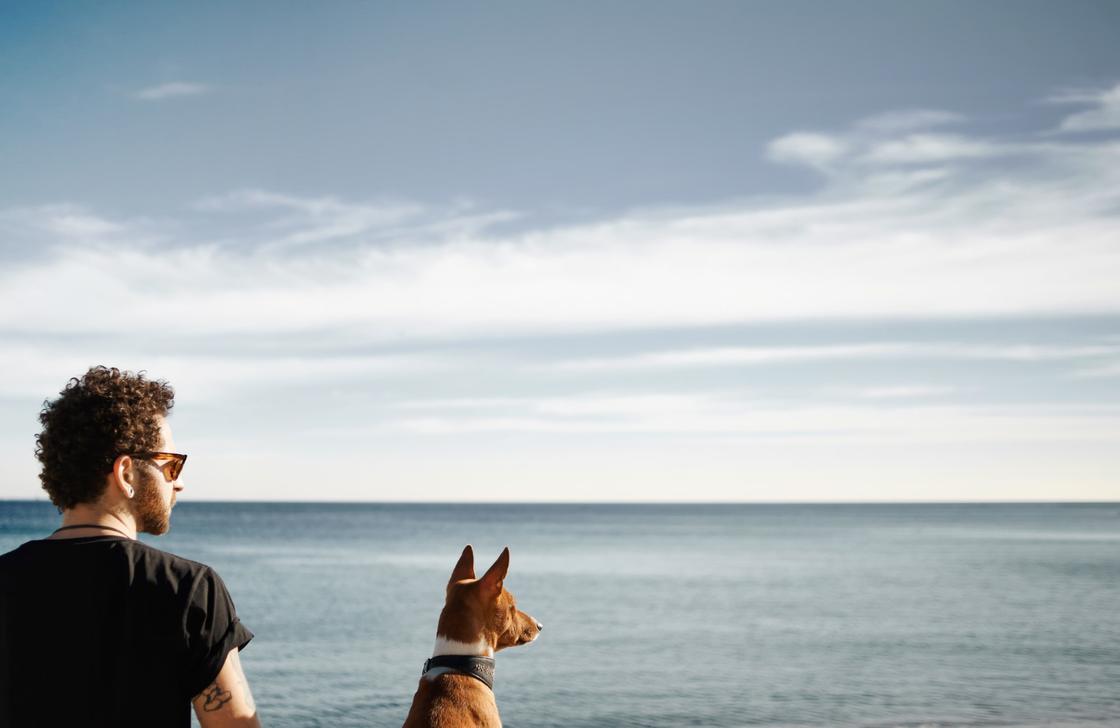 Мужчина с собакой смотрят на море