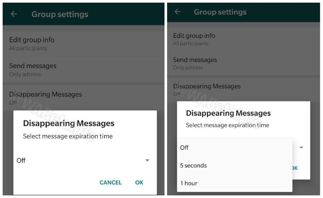 Исчезающие сообщения появятся в WhatsApp