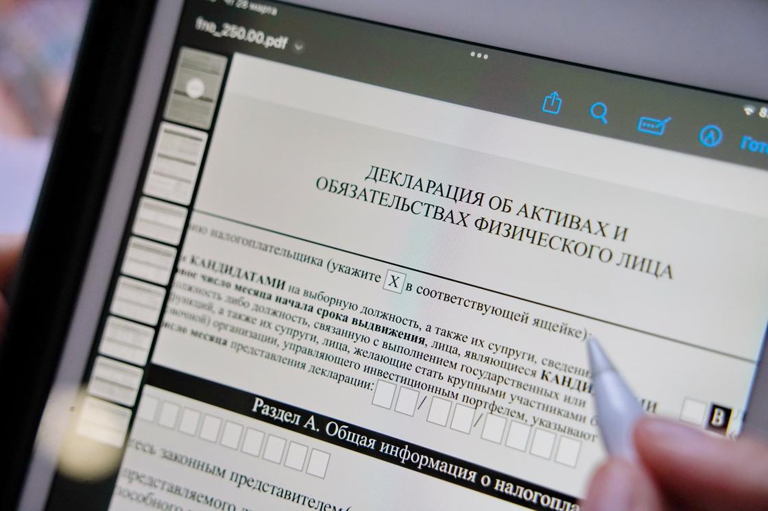 Казахстанец заполняет декларацию онлайн