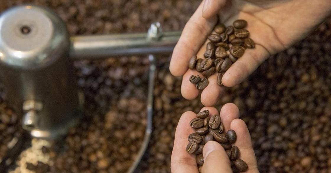 ФИНАНСЫ: Бодрящий бизнес: Открыть кофейню стоит 2 млн тенге