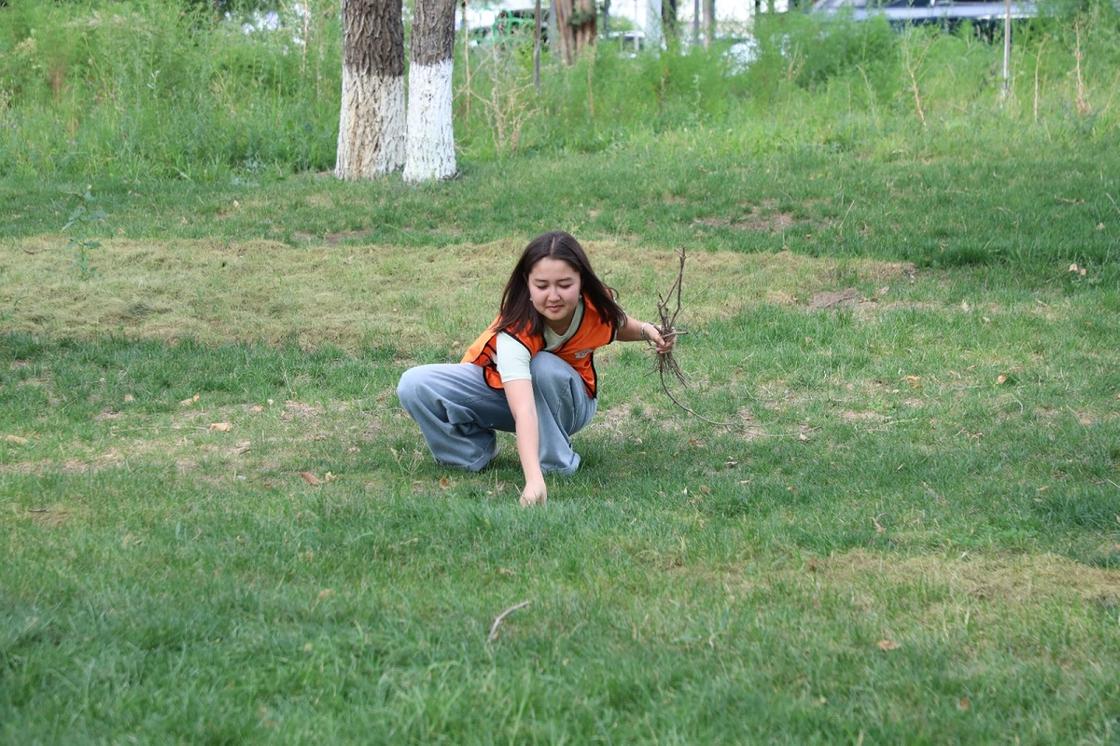 Волонтер собирает мусор