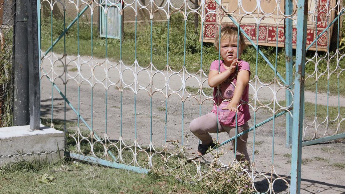 Девочка смотрит через забор