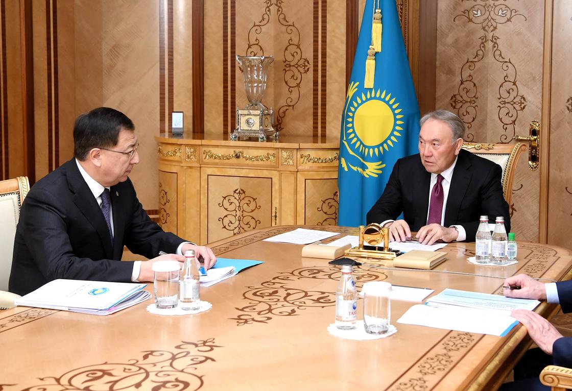 Назарбаев встретился с зампредом АНК