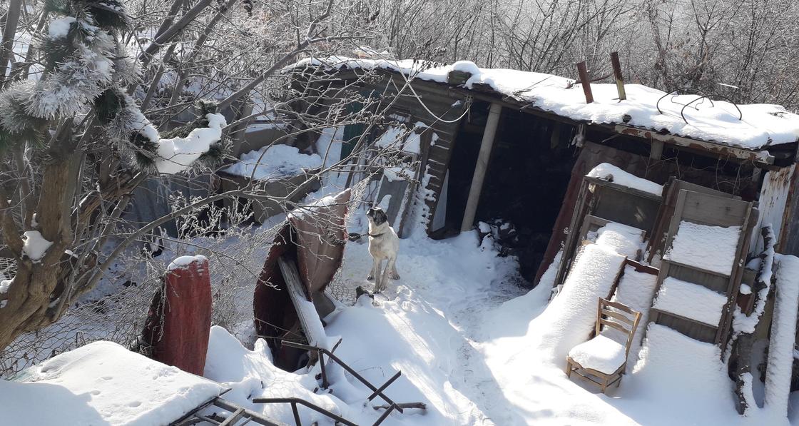 «Не знаю, как переживем зиму»: Мать-одиночка с детьми оказалась на грани нищеты в Алматы