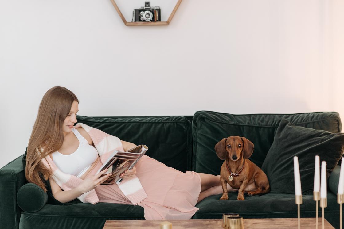 Беременная женщина лежит на диване с собакой