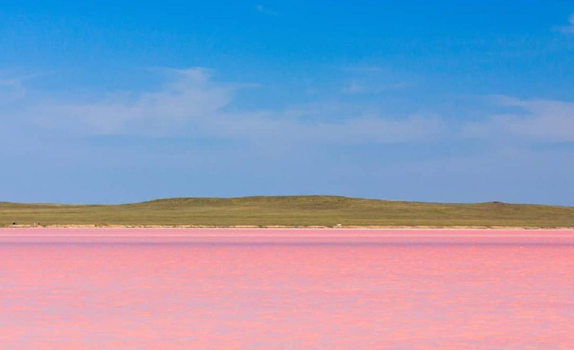 "Жадно набивают тюки": астанчане ведрами вывозят соль со дна Розового озера