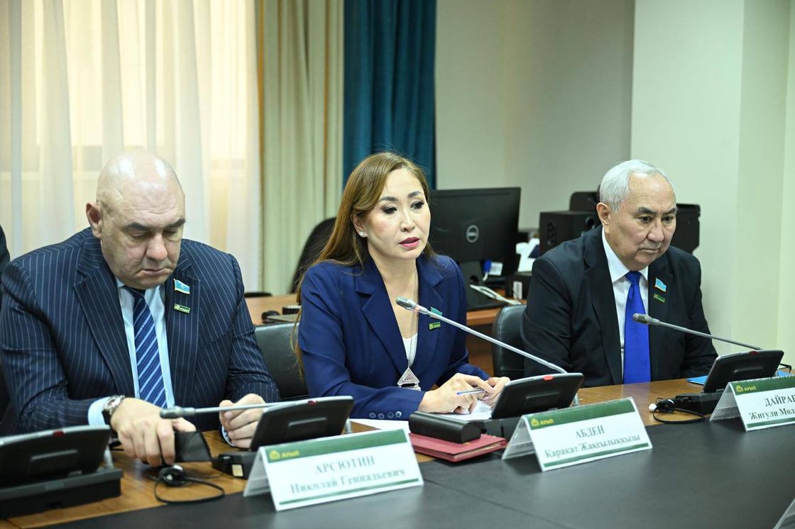 Заседание фракции "Ауыл"