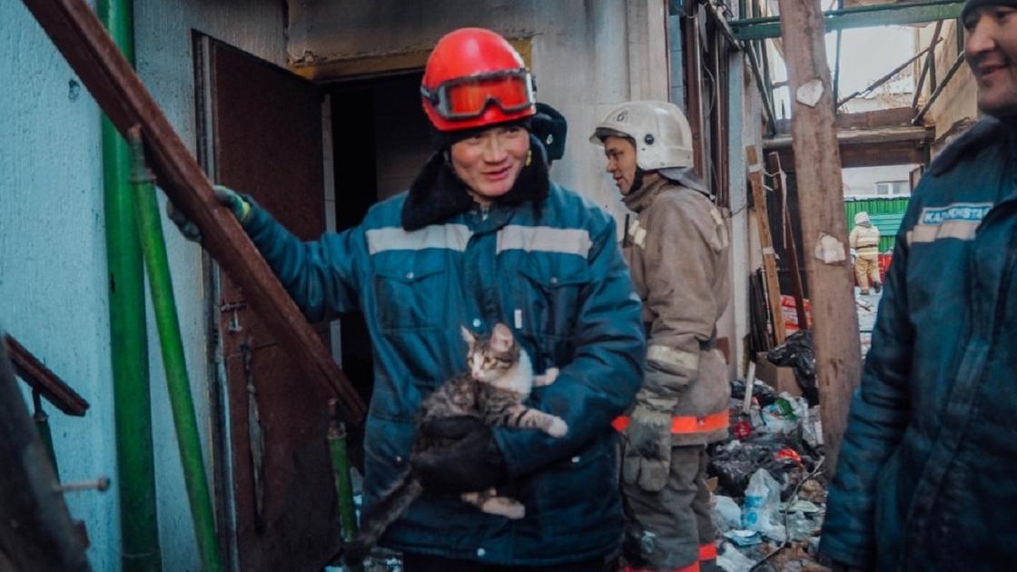 Спасатель с кошкой стоят на месте ЧП