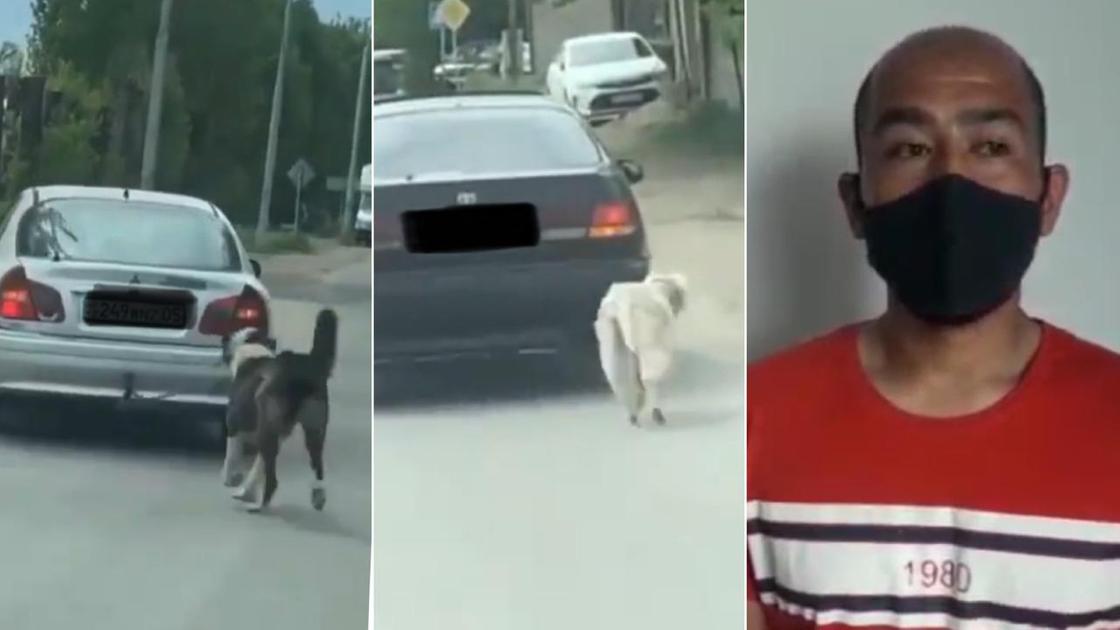 Мужчина привязал собаку к автомашине в Алматы (видео)