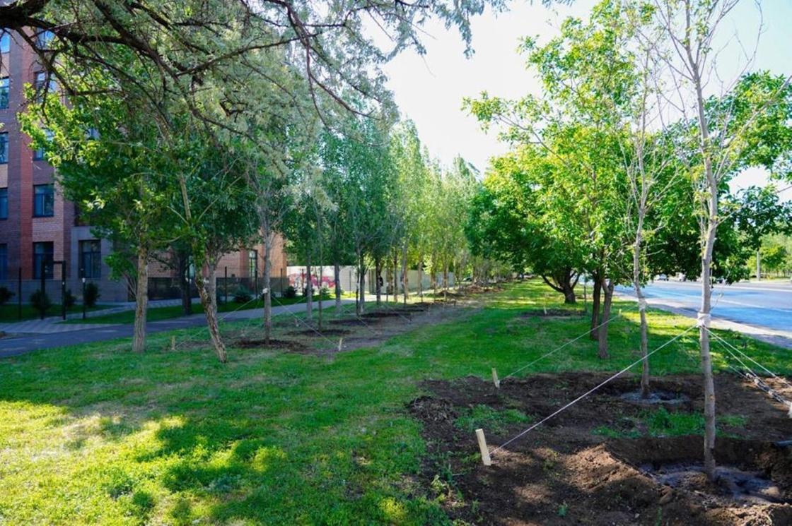 Благоустройство улиц в Астане