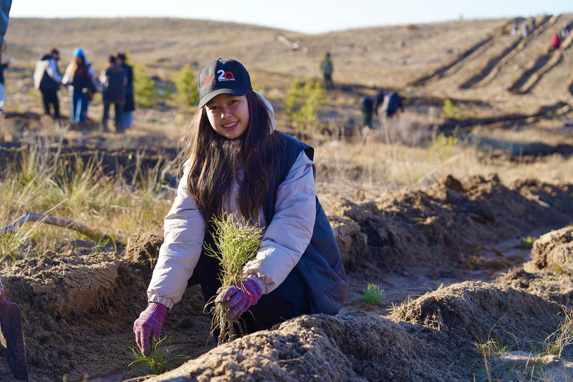 Home Credit Bank Абай облысындағы орманды қалпына келтіруге үлес қосты