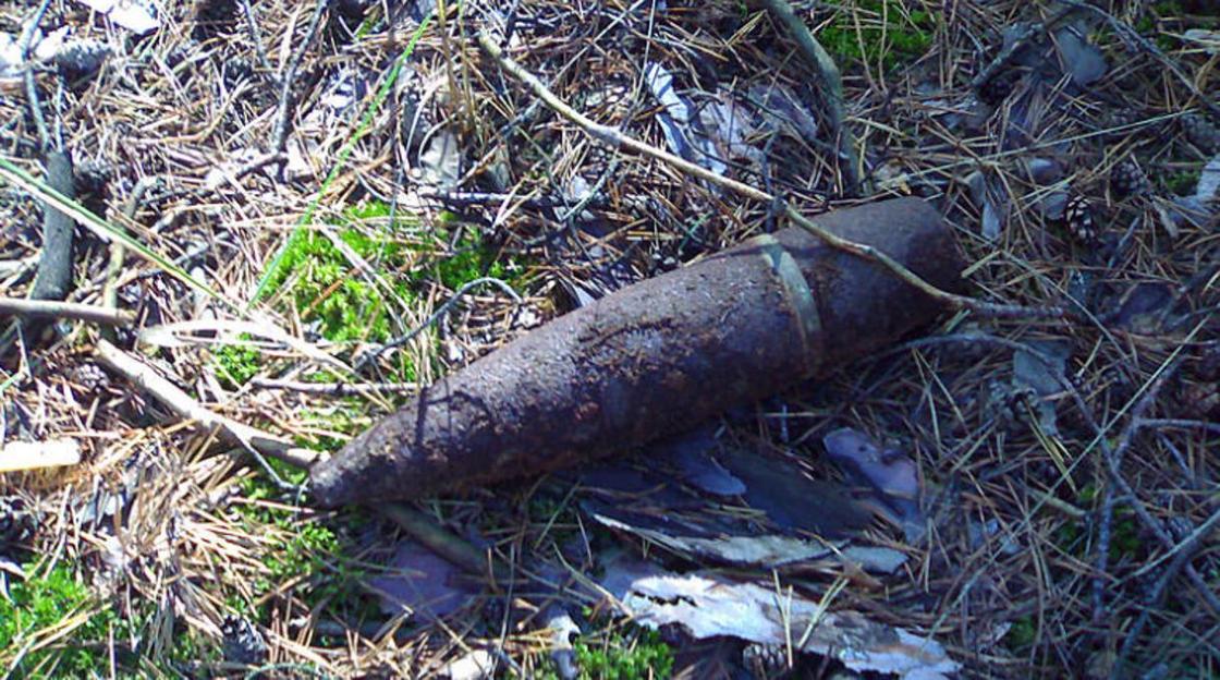 Неразорвавшиеся снаряды нашли на улице в Арыси