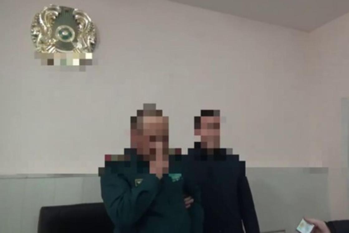 Видеодан кадр Видеодан кадр