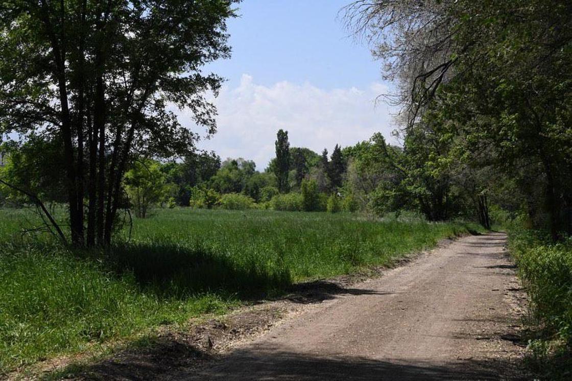 Байбек ознакомился с планами реконструкции Ботанического сада Алматы