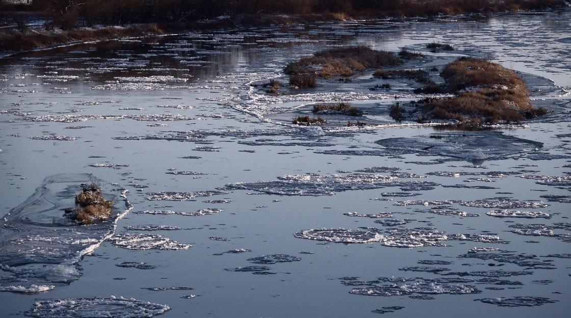 Алматы облысында 19 жастағы жігіт өзенге ағып кеткен баланы құтқарып қалды