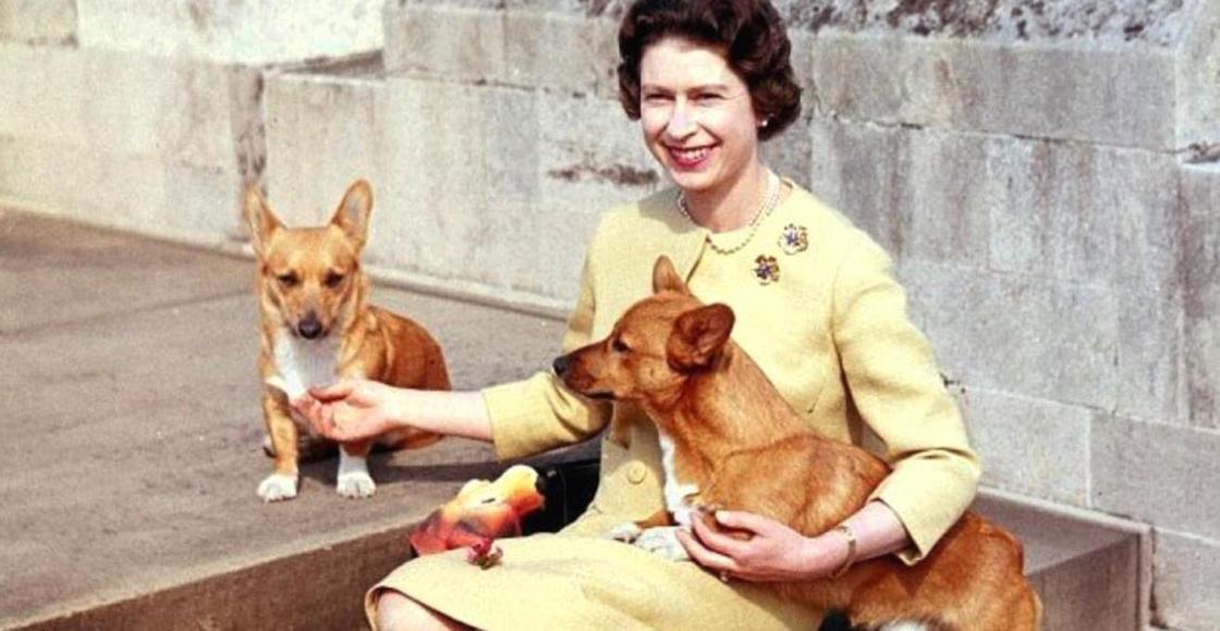 Королевская семья Великобритании: интересные факты