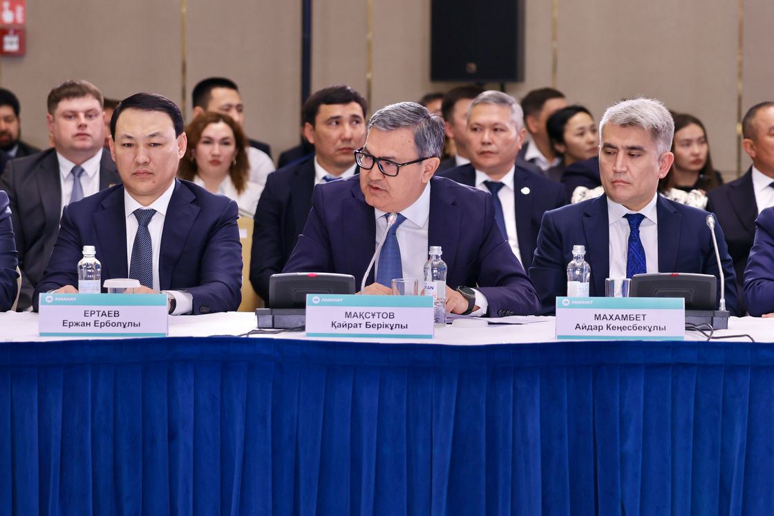 Встреча предпринимательского крыла партии AMANAT с представителями энергетической отрасли