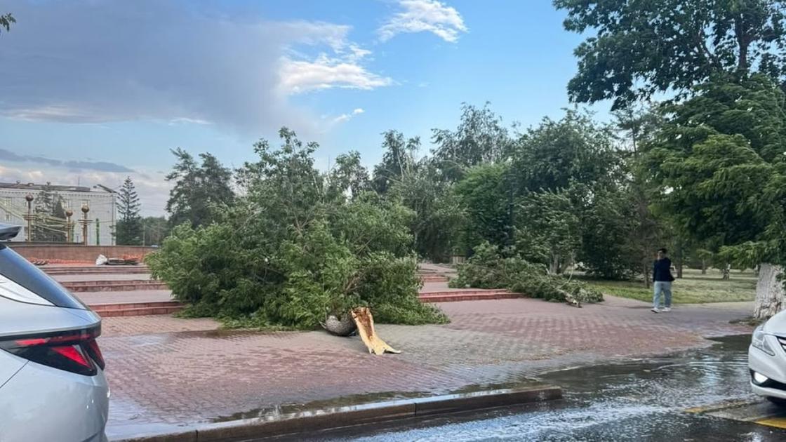 Последствия урагана Последствия урагана