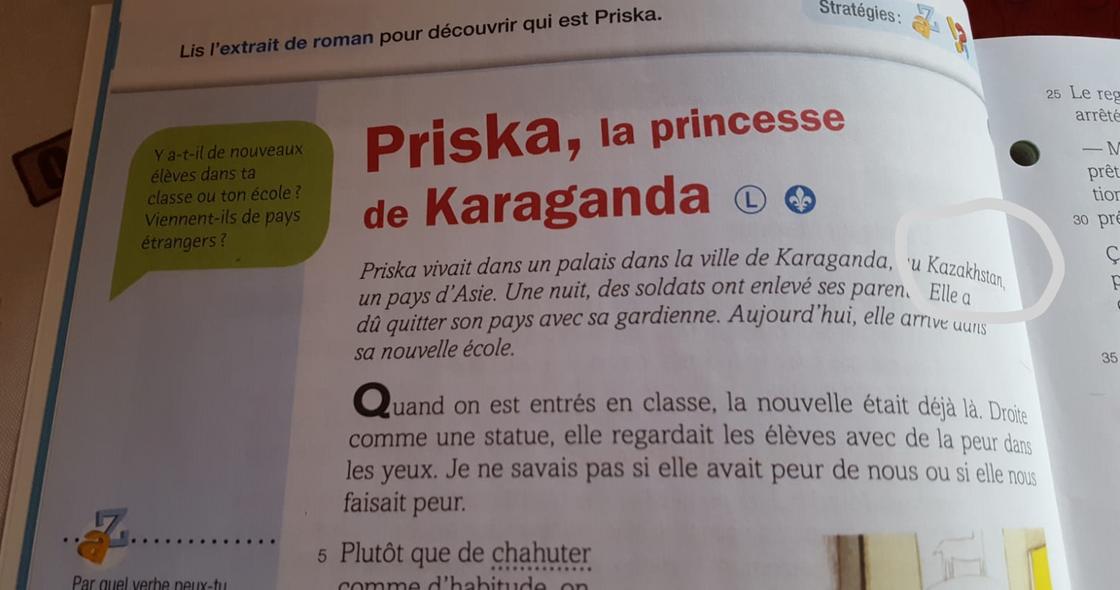 "Приска, принцесса Караганды": Казахстанцев возмутил рассказ в канадском учебнике