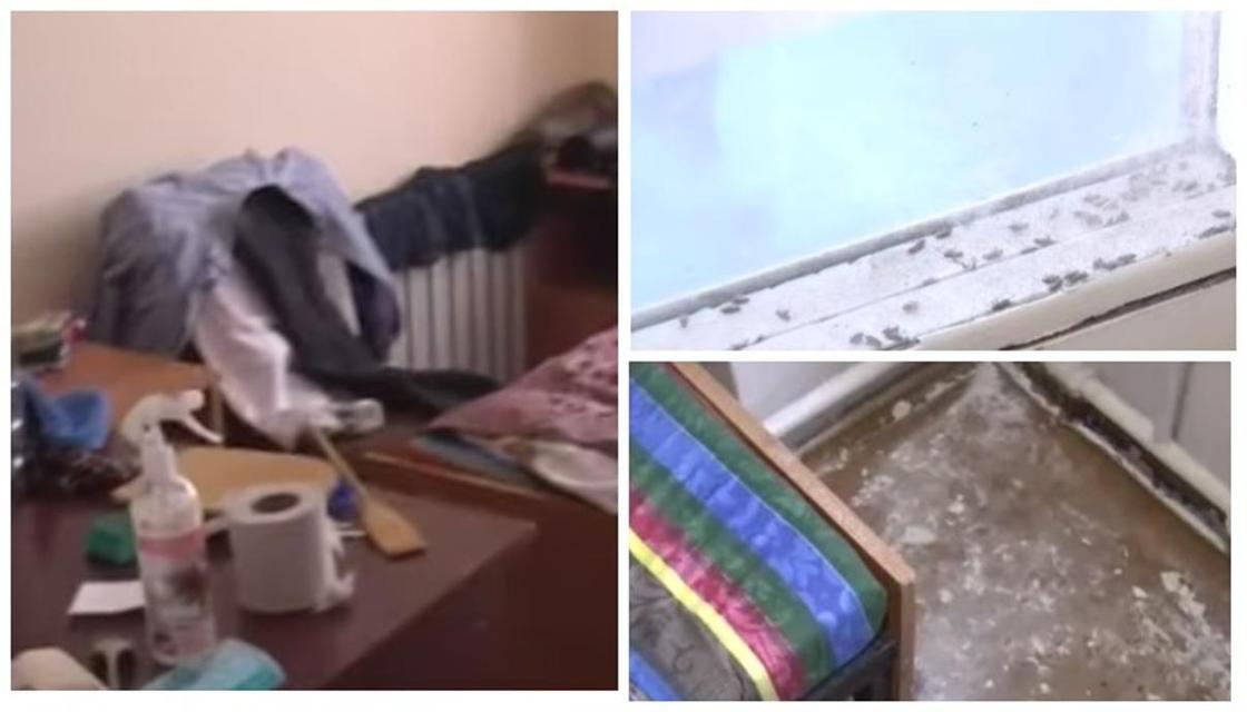 Студенты алматинкского вуза пожаловались на клопов и антисанитарию в общежитии