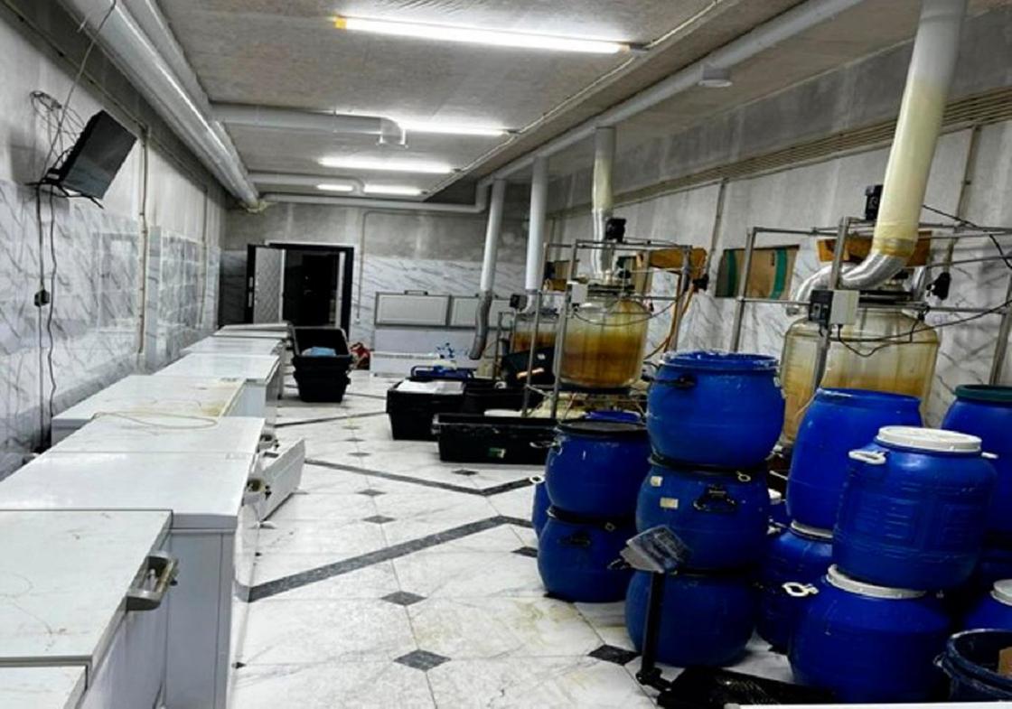 Нарколаборатория в Туркестанской области
