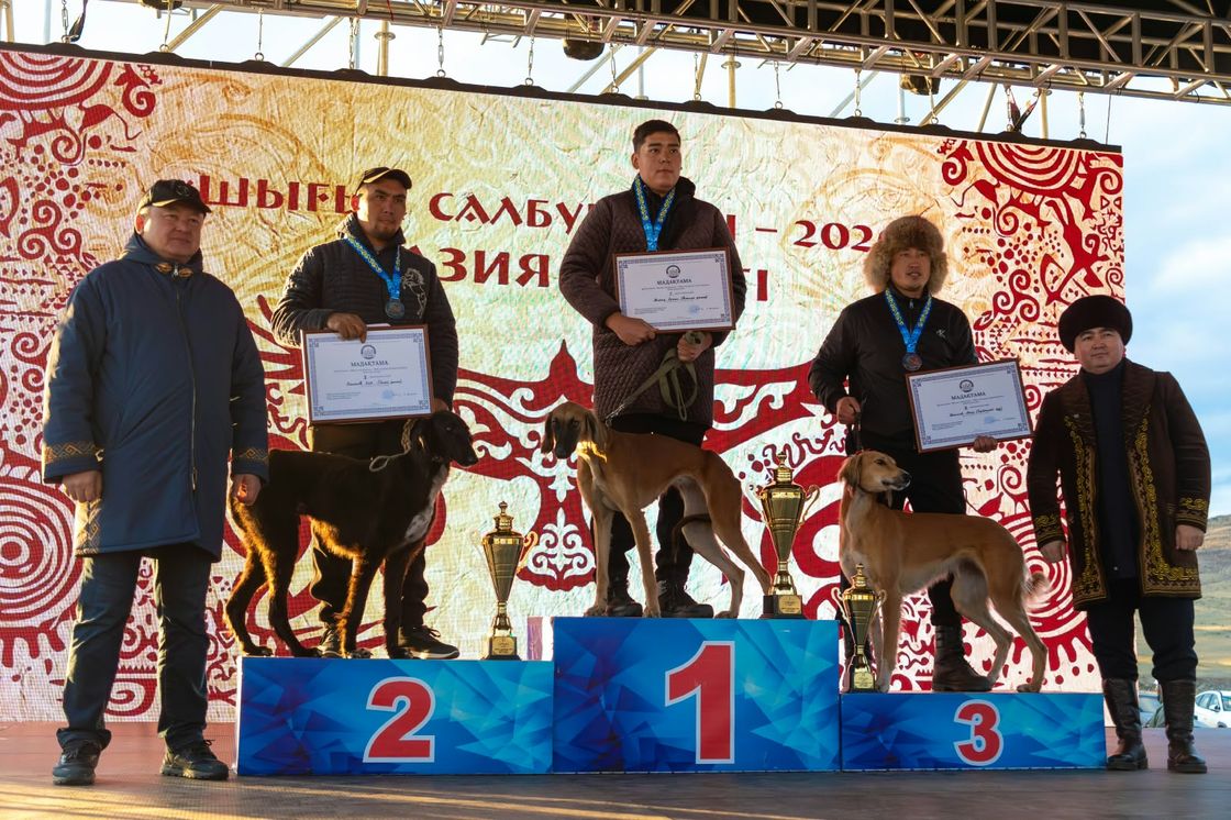 "Шығыс Салбурыны – 2026"