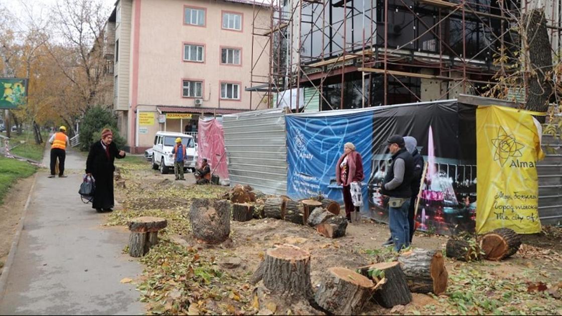 Вырубка здоровых деревьев напротив Ботанического сада возмутила алматинцев