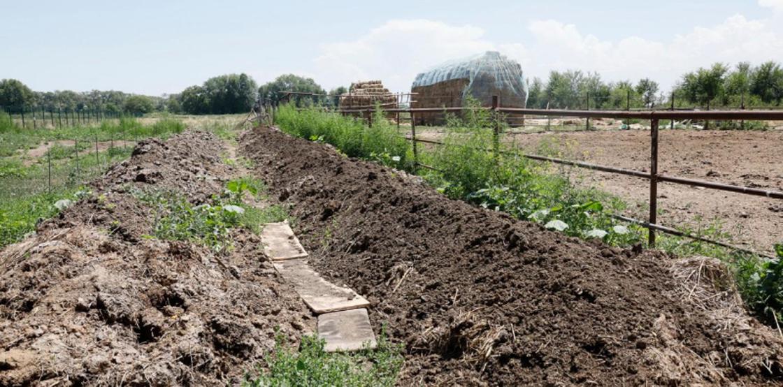"Устала": Госслужащая из Москвы переехала в Казахстан и живет на ферме