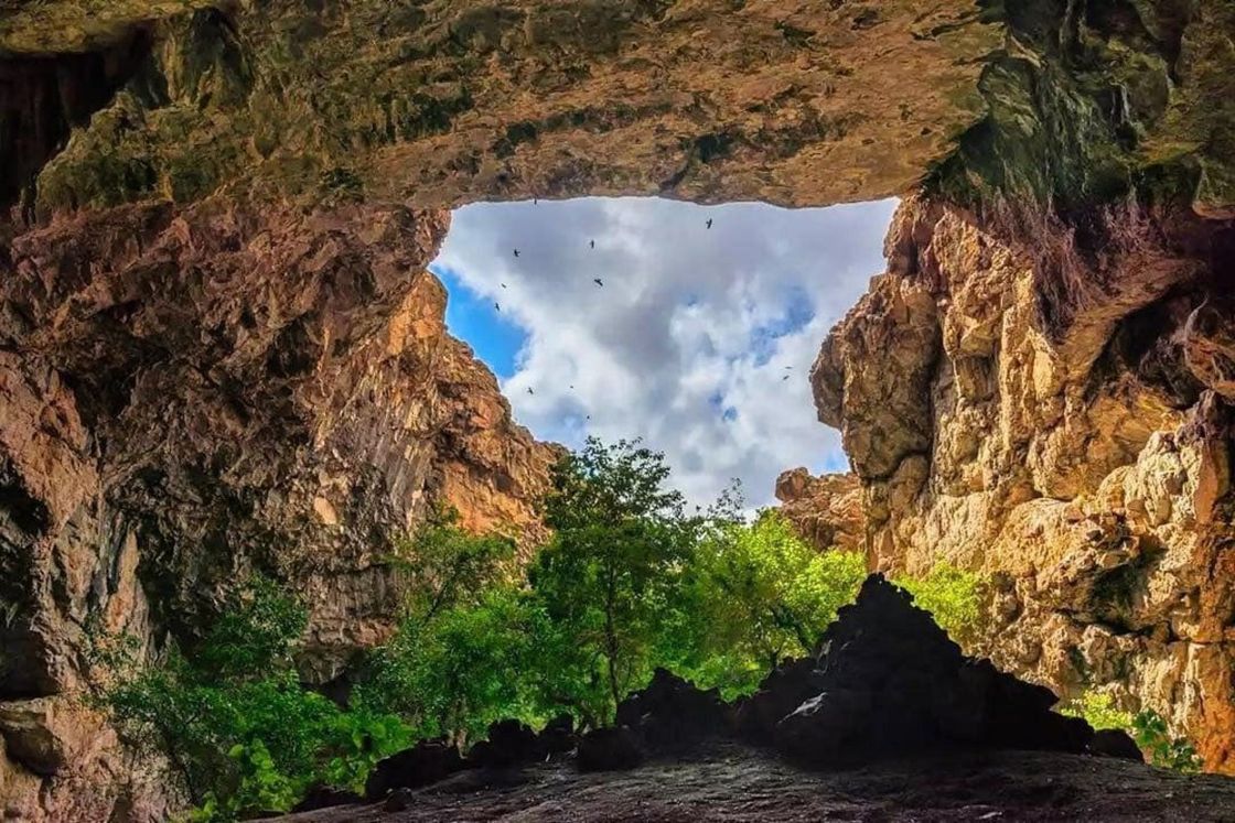 Природа Туркестана