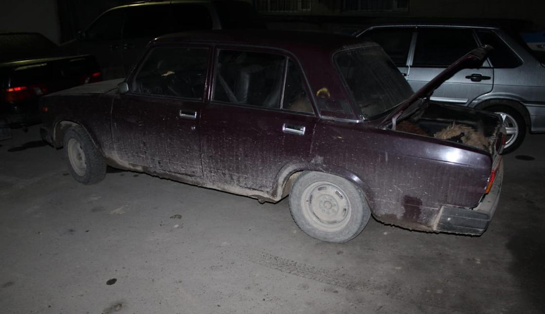 Авто, в котором обнаружили украденных овец