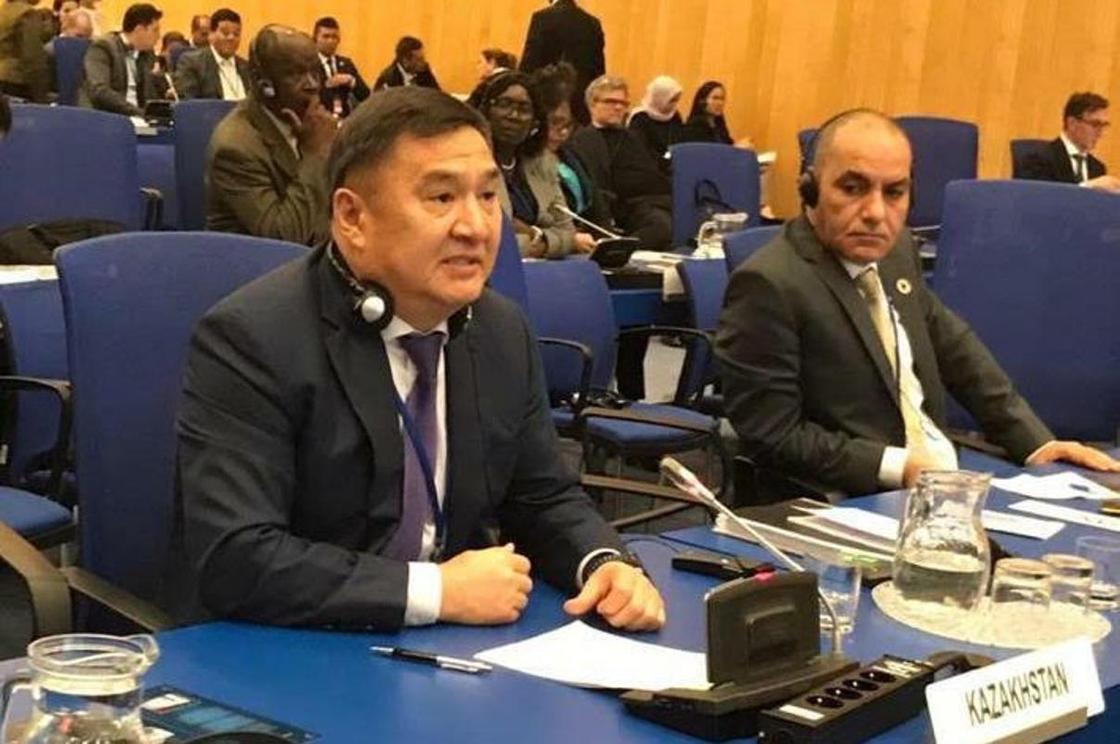 Казахстанская делегация выступила с докладом в Вене