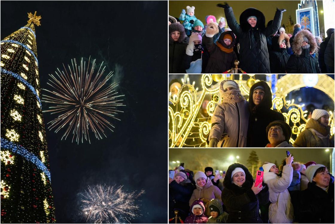 Главную новогоднюю елку зажгли в СКО