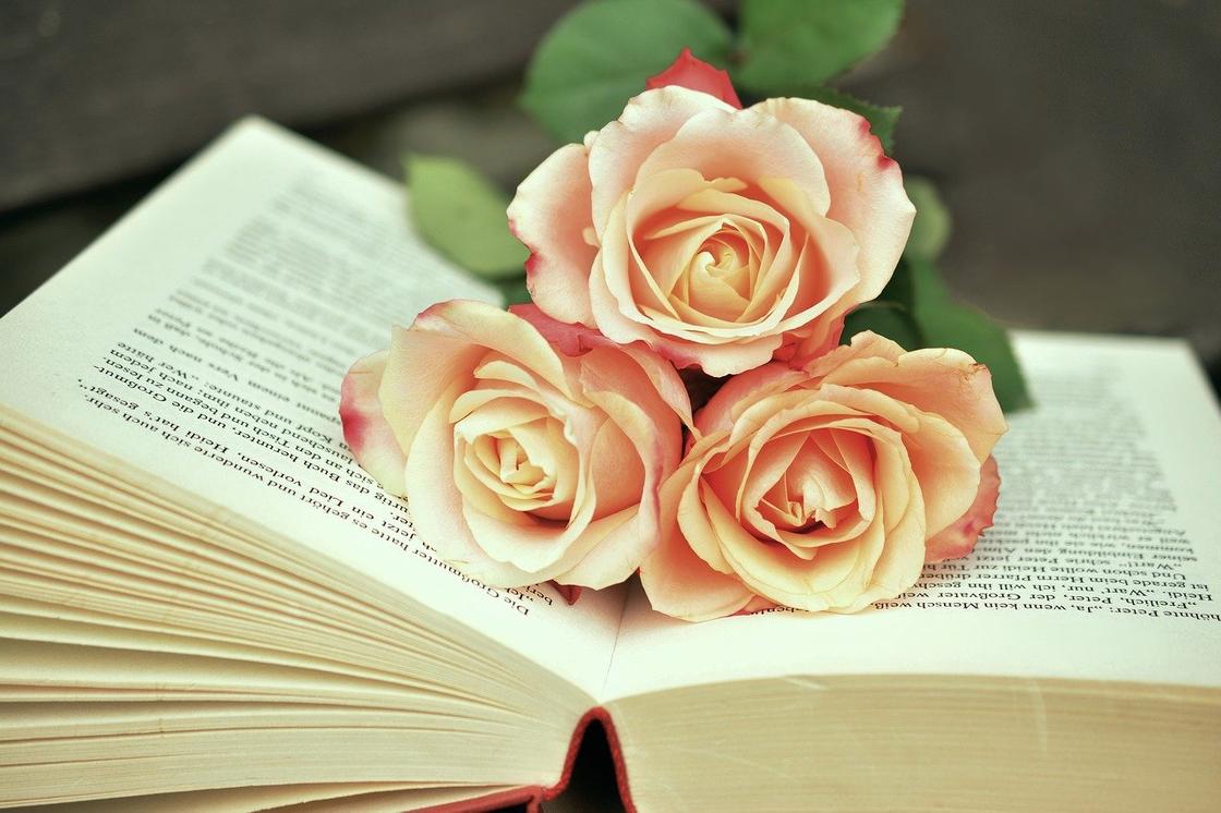 Книга и розы Книга и розы