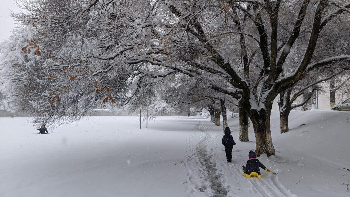 Алматы засыпает снегом: как справляются коммунальщики (фото)