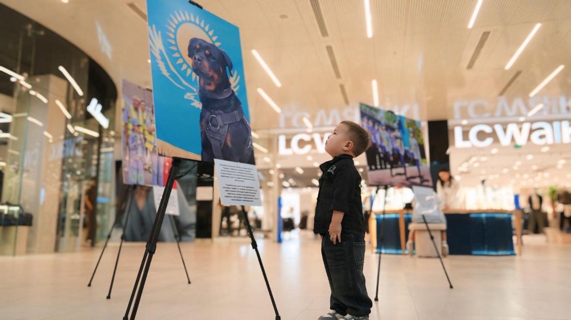 Фотовыставка "Закон и Порядок"