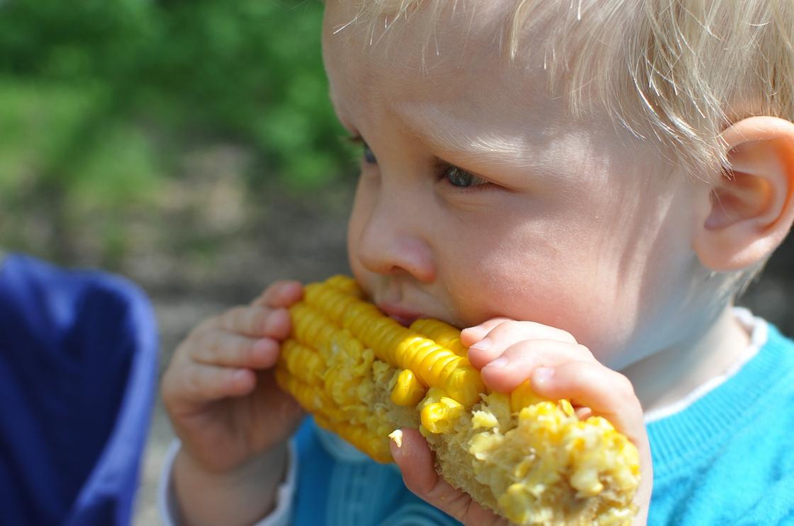 Ребенок ест кукурузу