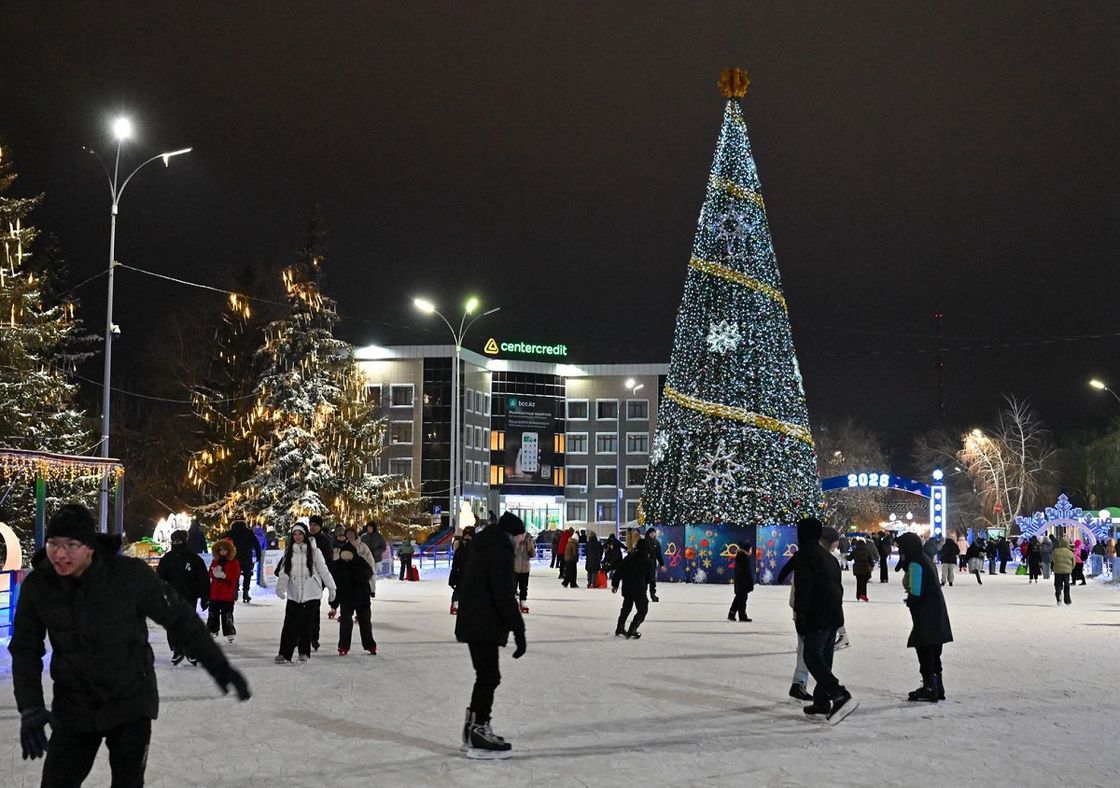 Главную новогоднюю елку зажгли в СКО