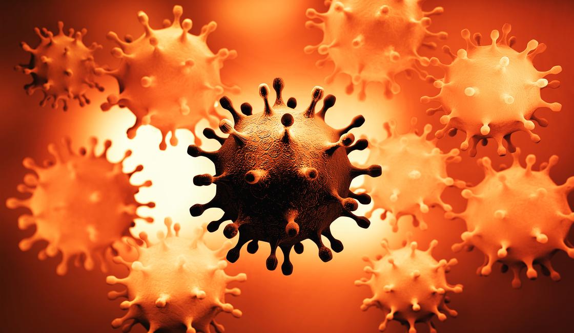 Ученые узнали о мощной иммунной реакции при коронавирусе