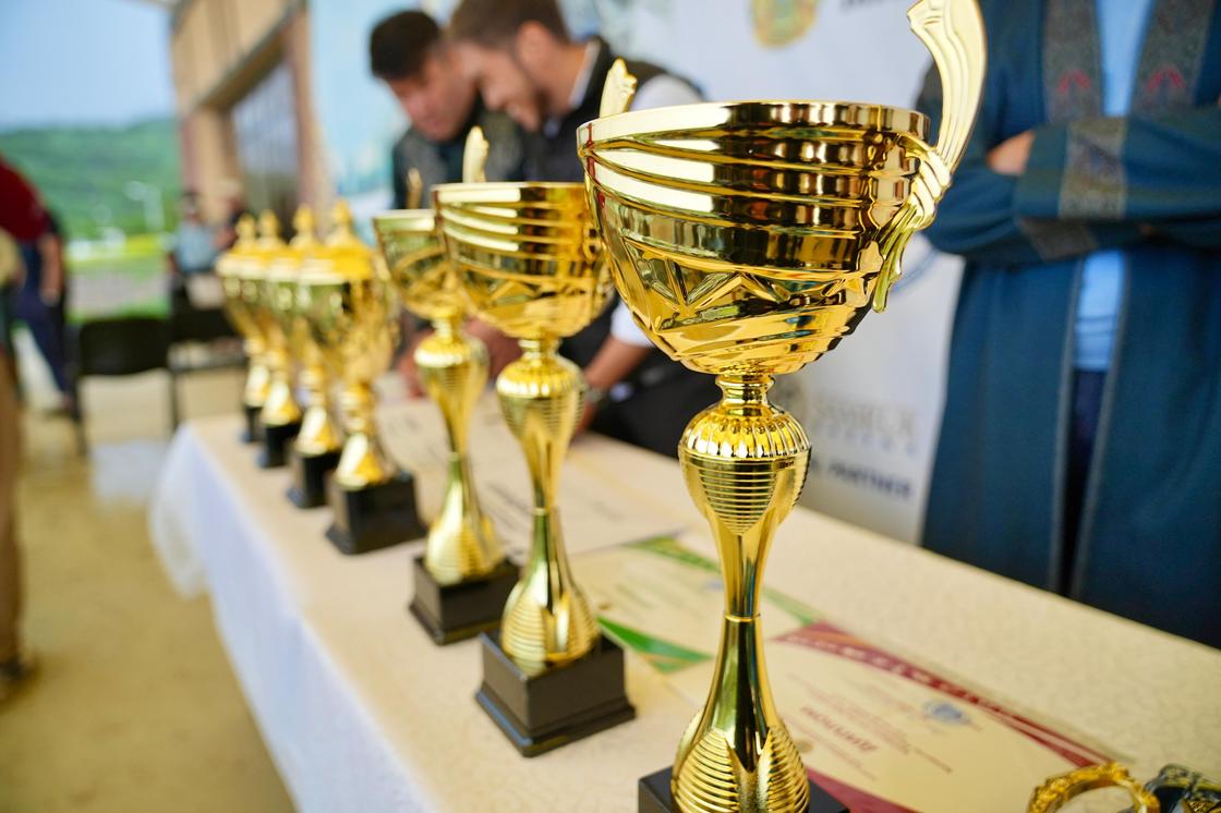 Жеңімпаздарға берілетін кубоктар Жеңімпаздарға берілетін кубоктар