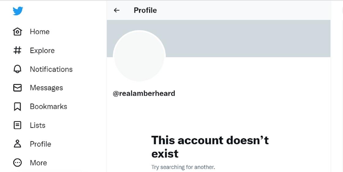 Скриншот аккаунта Эмбер Херд в Twitter