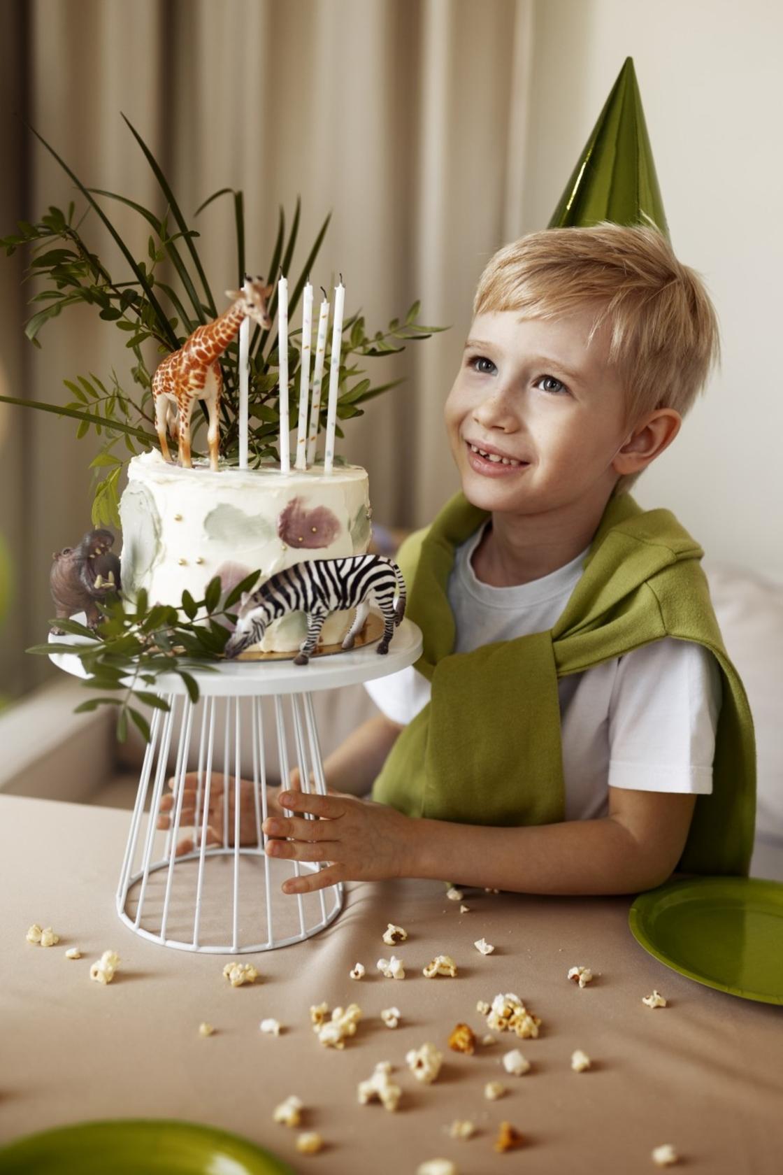 Мальчик в зеленом колпачке стоит возле торта на подставке и улыбается. На торте стоит 5 свечек и фигурка жирафа