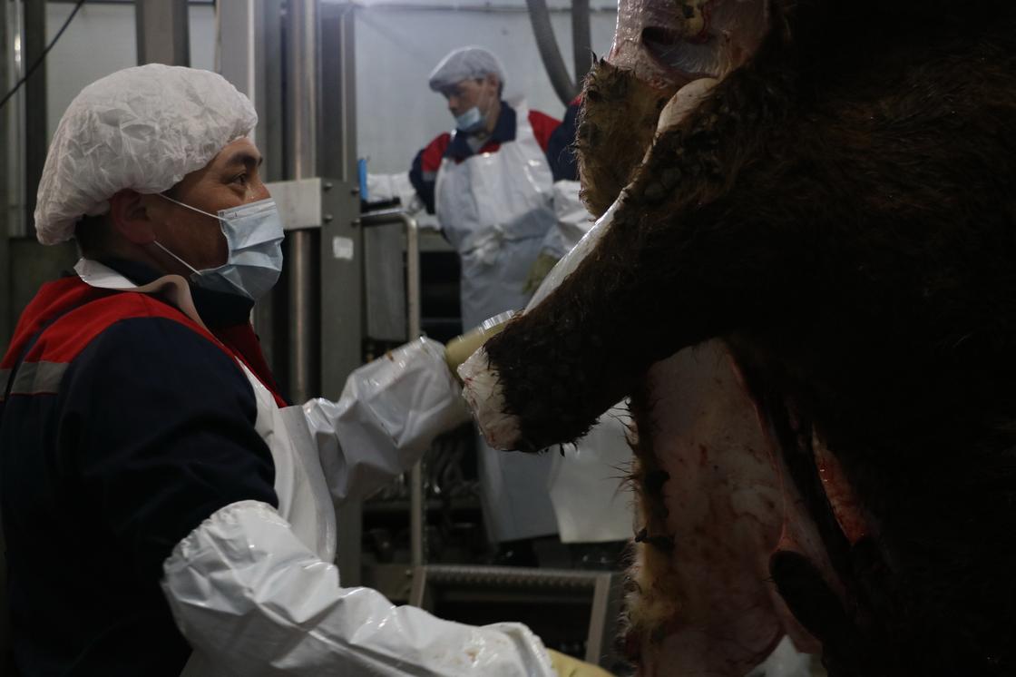Столичный мясокомбинат отправляет на экспорт в Иран первую партию говядины