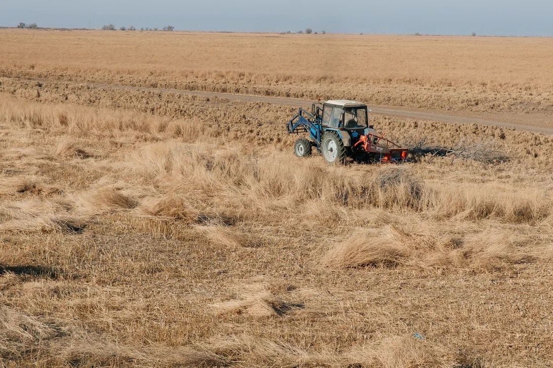 Дератизация